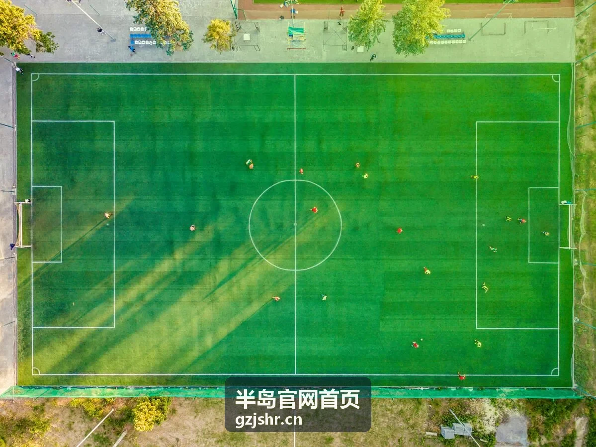 半岛官网首页 · 半岛观察深度资讯背景